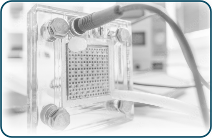 PEM- und SOFC-Brennstoffzellentechnik